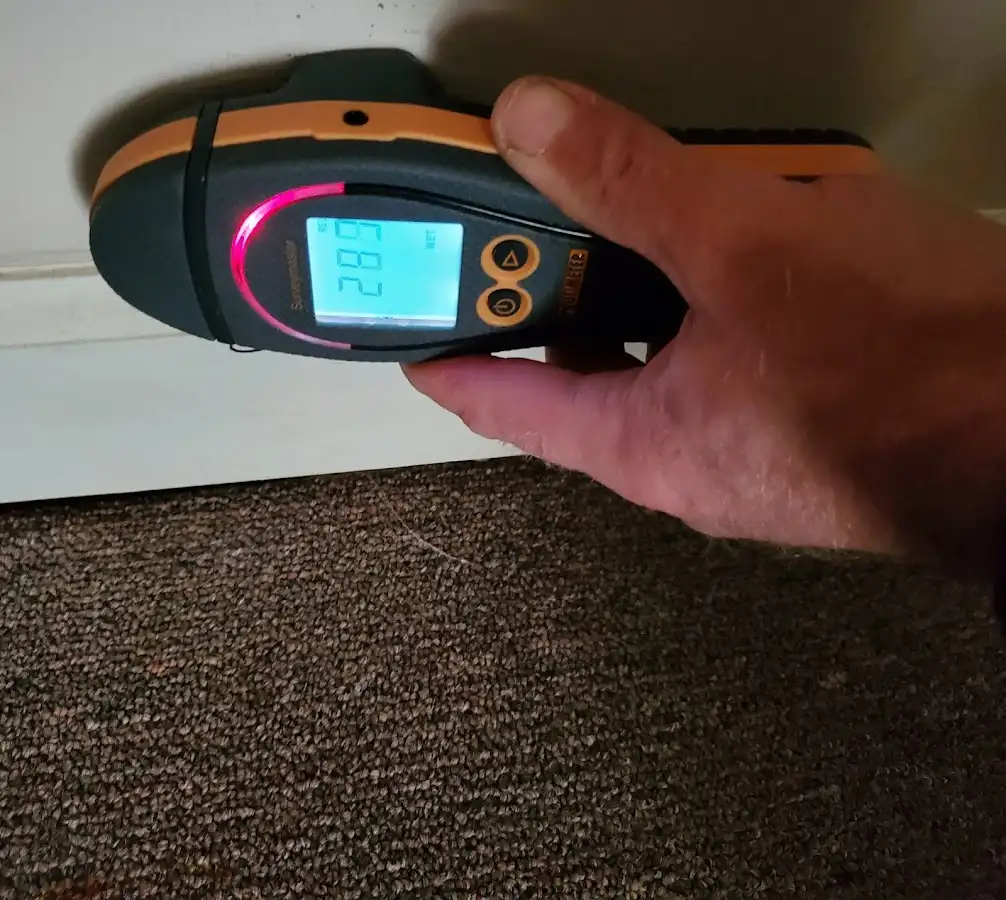Moisture detection at baseboard during Sewage Cleanup & Sanitation in Walton